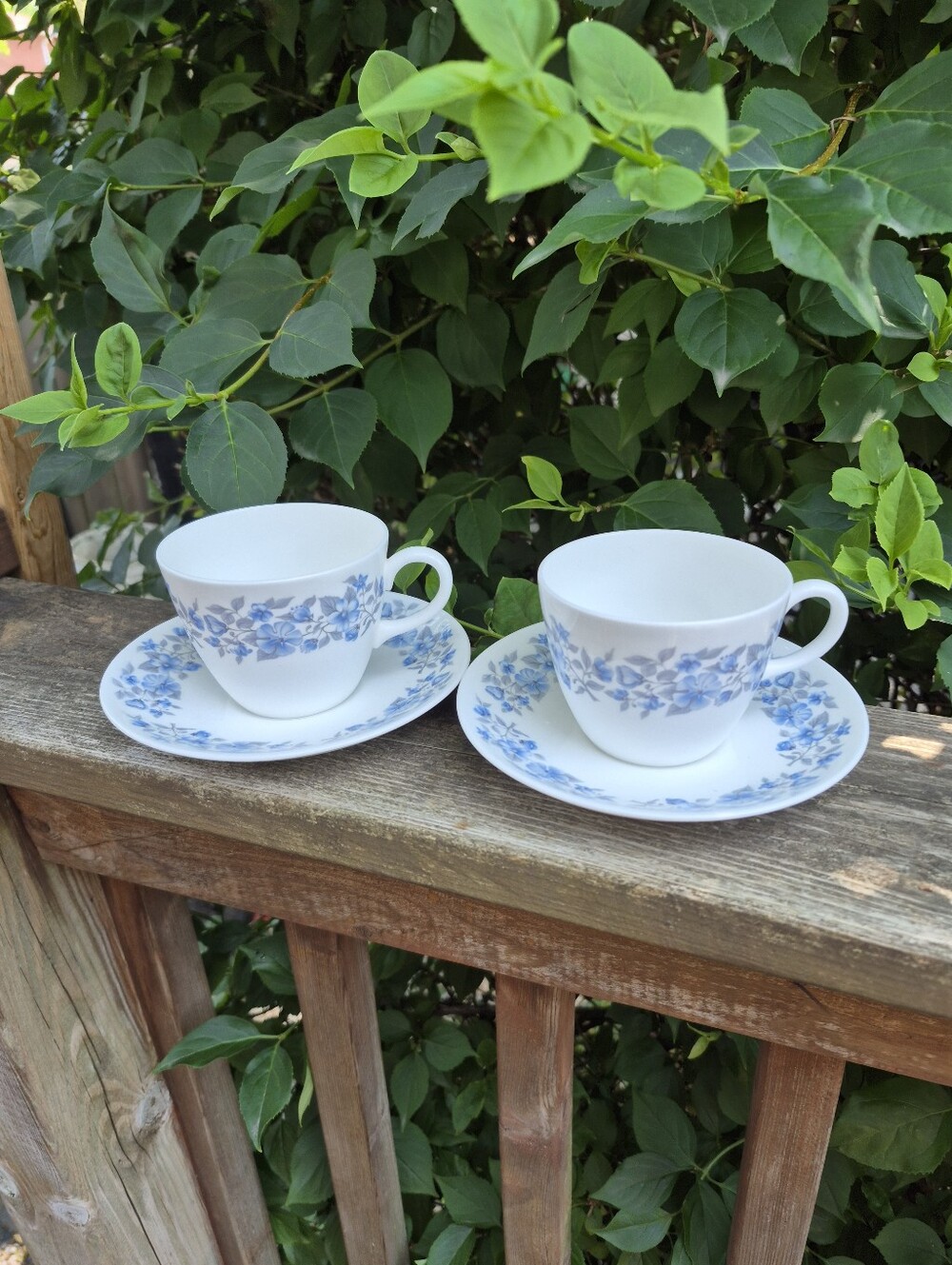 Wedgewood Petra Bone China Cups And Saucers Set Of 2